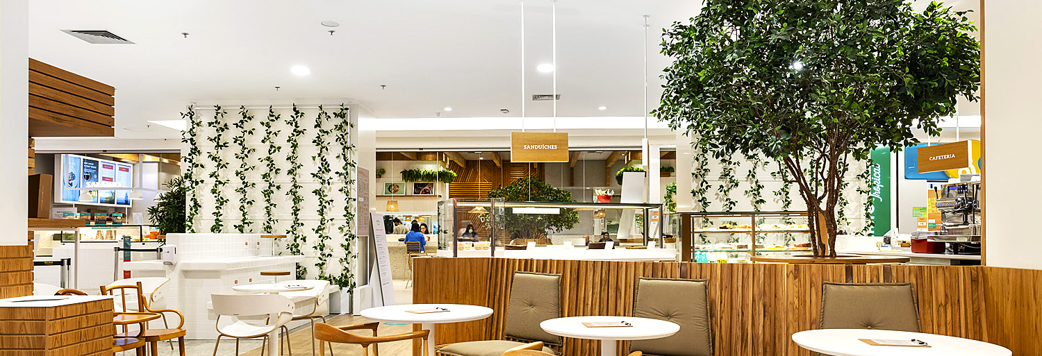 Comodato - GALERIA